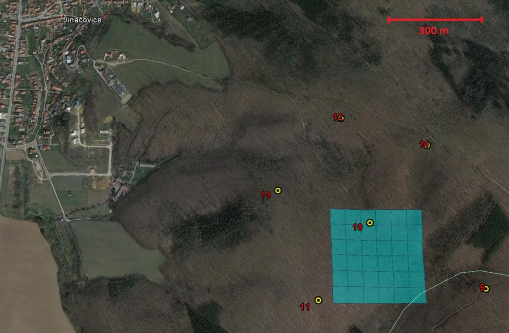 Příloha 3: Lokalizace okolí území zkoumaného metodou mapování hnízdních teritorií.