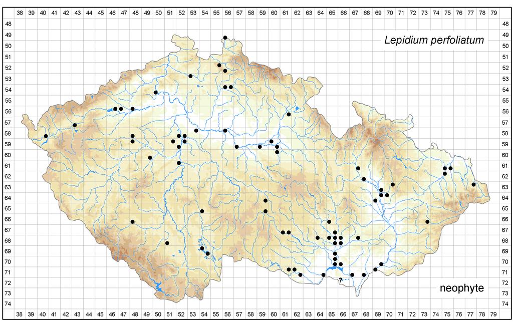 Distribution of Lepidium perfoliatum in the Czech Republic Author of the map: Michal Ducháček Map produced on: 06-02-2018 Database records used for producing the distribution map of Lepidium
