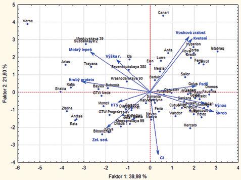 Obrázek 4: Vzájemná projekce proměnných (parametry) a případů (odrůdy) do faktorové roviny (PCA analýza) Závěr Aplikace hlubších statistických metod umožnila odkrýt řadu specifických vztahů a
