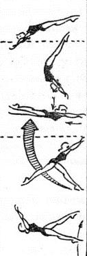 Floor Turns on Knees - obraty na kolenou (více než jeden obrat s hmotností těla výhradně na kolenou) Unassisted Handspring or forward walkover variations - přemet vpřed a přemet vpřed zvolna