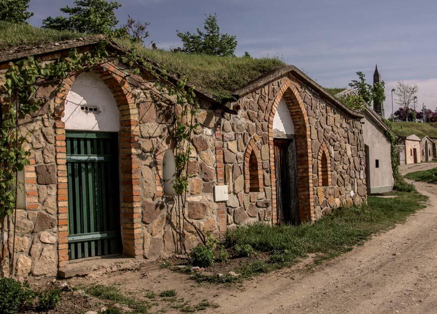 Stfiední vinafiskou kolu, ale udûláte si