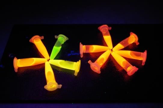 5.2 Charakterizace QDs syntetizovaných pomocí prekurzorů Na 2 TeO 3 a Na 2 SeO 3 Charakterizace QDs fluorescenční spektroskopií ukázala, že vhodnějšími prekurzory pro syntézy QDs jsou Na 2 TeO 3 a Na