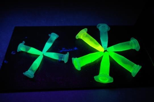 měnily barvu fluorescence. Po 1 hodině syntézy fluoreskovaly QDs světle zeleně a po 4 hodinách fluoreskovaly výrazně zeleně.