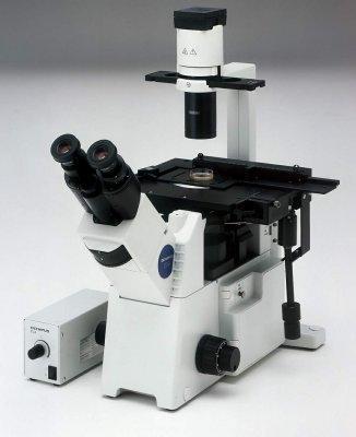 Pozorování bun né kultury inverzním mikroskopem Seznamte se s použitím inverzního mikroskopu.