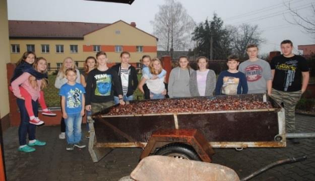 V minulém roce se naší škole poda ilo nasbírat 63 kg, letos jsme tento krásný výkon p ekonali a nasbírali 694 kg. Na prvním stupni se nejlépe vedlo žákům 3.