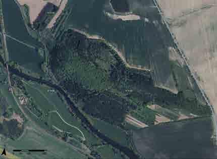 16 Popis hradiště 17 (obr. 18) Vizualizace hradiště aktuální ortofoto. Vytvořil P. Menšík. valu způsobené erozí nebo jako důsledek archeologických výzkumů v 19. století. Po výzkumu B.
