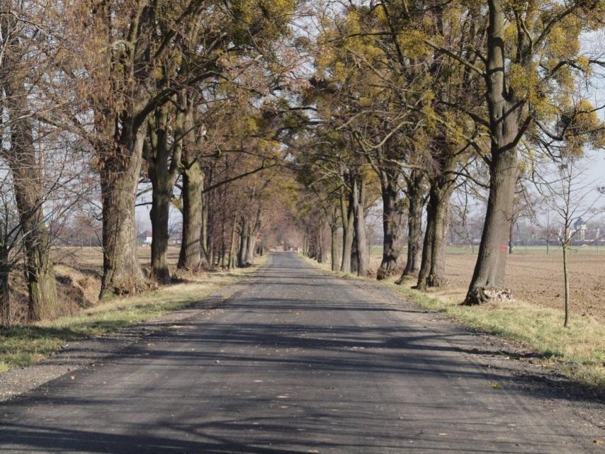 Cesta na cvičnou louku je opravena! Obec Šilheřovice pokračuje ve svých plánech na obnovu majetku a díky starostovi Mgr. Radku Kaňovi došlo i na opravu cesty ke cvičné louce.