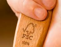 Rozhodování v FSC Členové FSC jsou organizovaní ve třech sekcích: ekonomické sociální ekologické Žádná ze sekcí nemůže být přehlasována ostatními.