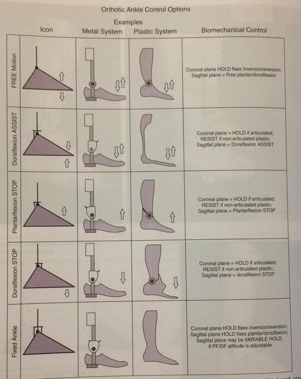 Příloha 2: Ortotické možnosti kontroly