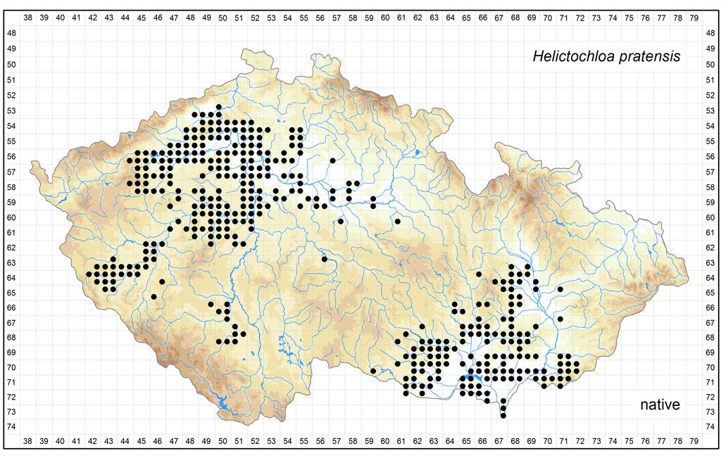 Distribution of Helictochloa pratensis in the Czech Republic Author of the map: Jiří Zázvorka Map produced on: 12-05-2016 Database records used for producing the distribution map of Helictochloa