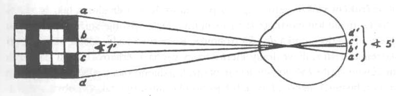 Stanovení zrakové ostrosti Zrakovou ostrostí rozumíme prostorový práh, tzv. minimum separabile, čili nejmenší vzdálenost dvou bodů, které oko ještě rozliší jako dva body.