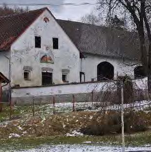 JAVOR