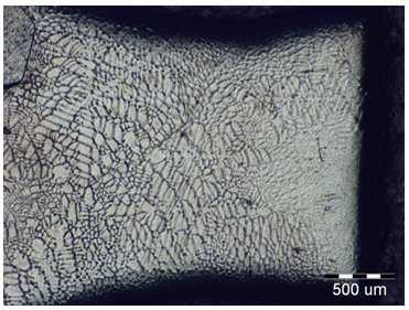 1 Metallographical analysis From all the single crystals of molybdenum alloys, specimens were taken by a crosscut and longitudinal cut and submitted to mechanical grinding and polishing.