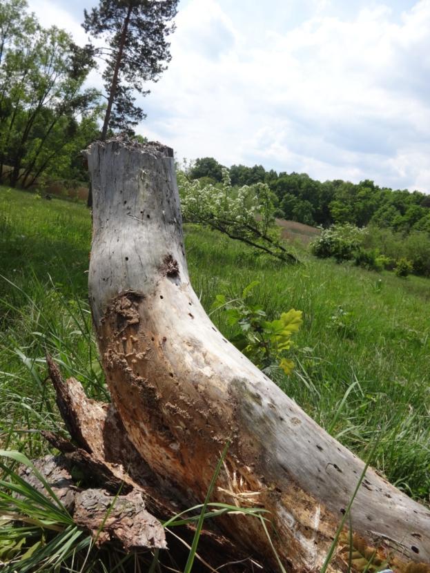 Fotodokumentace a zákres do leteckých map Zákres