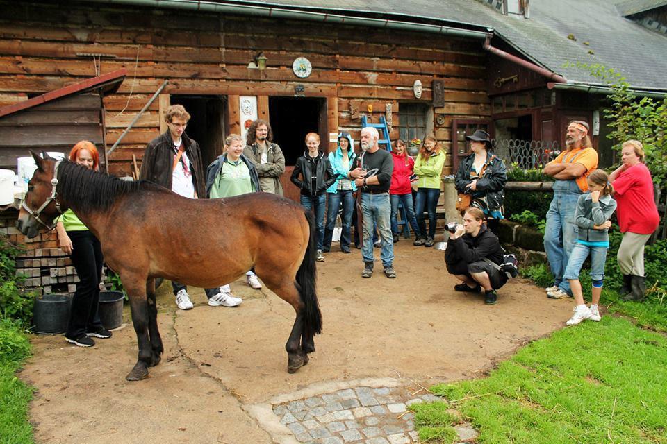 Jak na to? Co vlastně dělat Nebát se Nemusí to vést spisovatel!
