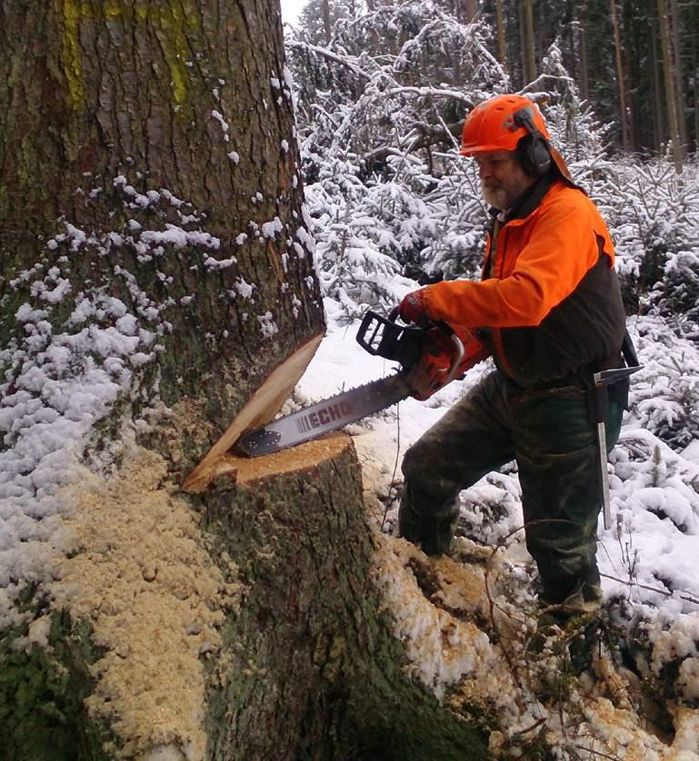 V lese pracuji už 36 let. Dobrý nástroj mě živí. Proto potřebuji pilu, která je spolehlivá. Potřebuji pracovat, a ne mít pilu stále v servisu.