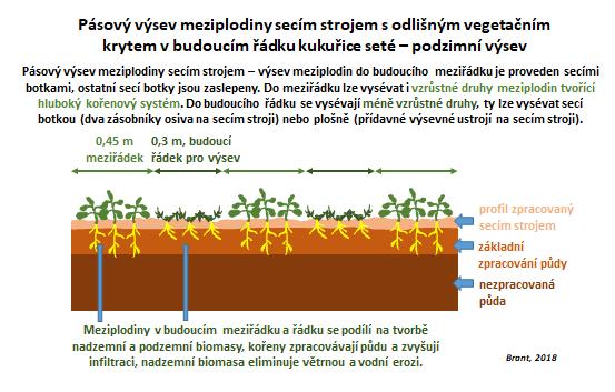 Obr. 1: Princip založení pásů pomocné plodiny secím strojem V souvislosti s vývojem systémů mělkého zpracování půdy vzniká nová kategorie strojů.