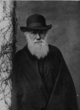 Kategorizace podobností a Evoluční systém Přirozený = evoluční systém
