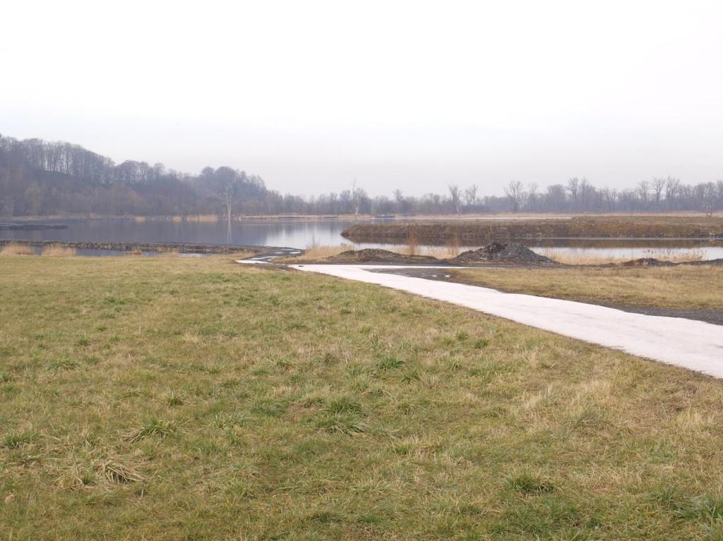 Doubravský