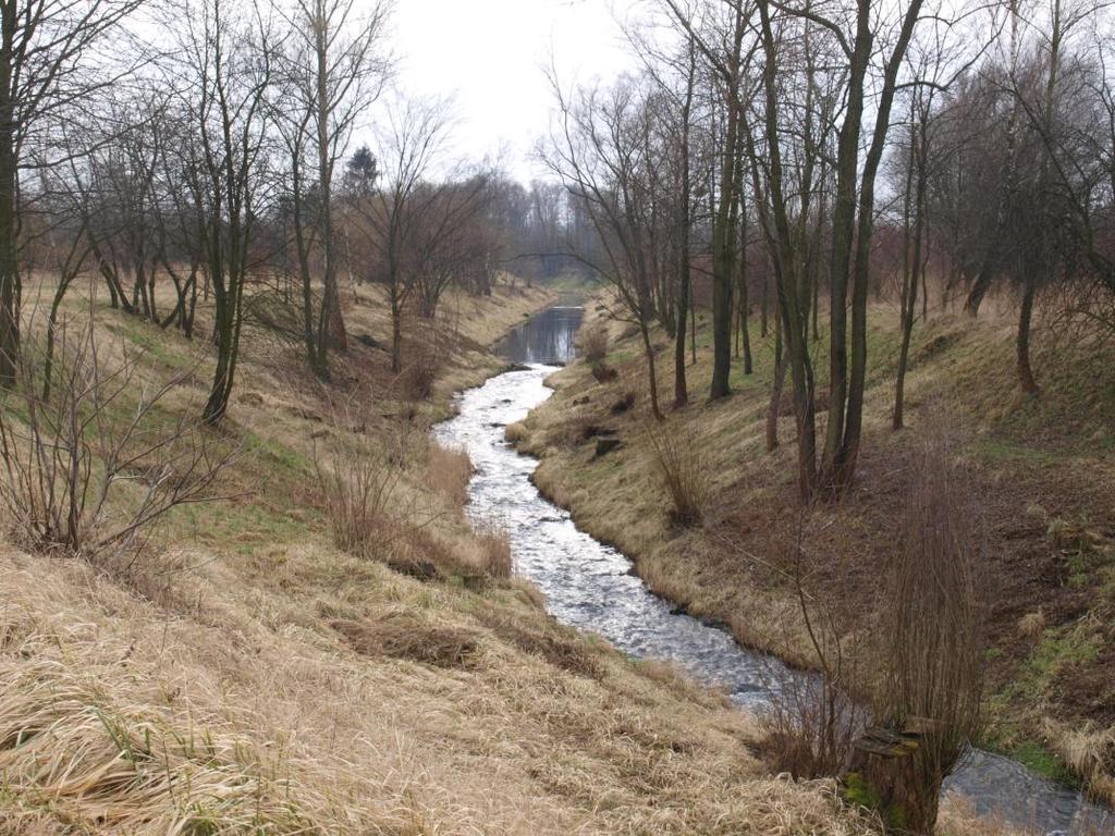 Karvinský