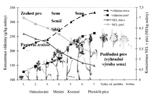 stability. Druhově pestré porosty jsou stabilnější a odolnější při časté seči. Množství a kvalita biomasy závisí na ekologických podmínkách a využívaní v průběhu vegetace (Novák, 2008). Obr.