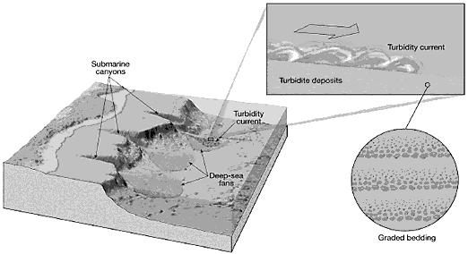 vzniká v místech, kde se hromadí větší množství sedimentů - to je zejména na horní hraně svahu kontinentální svahy mají sklony v rozsahu 2-10 a jejich šířka může být až 100 km jejich sedimenty jsou