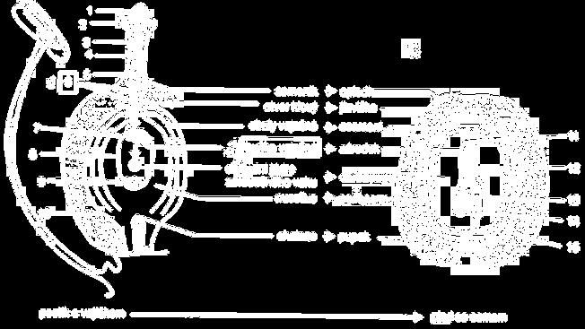 Obr. 5.