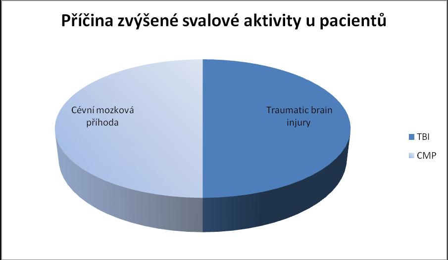 Příloha 4 Graf 3: Příčina