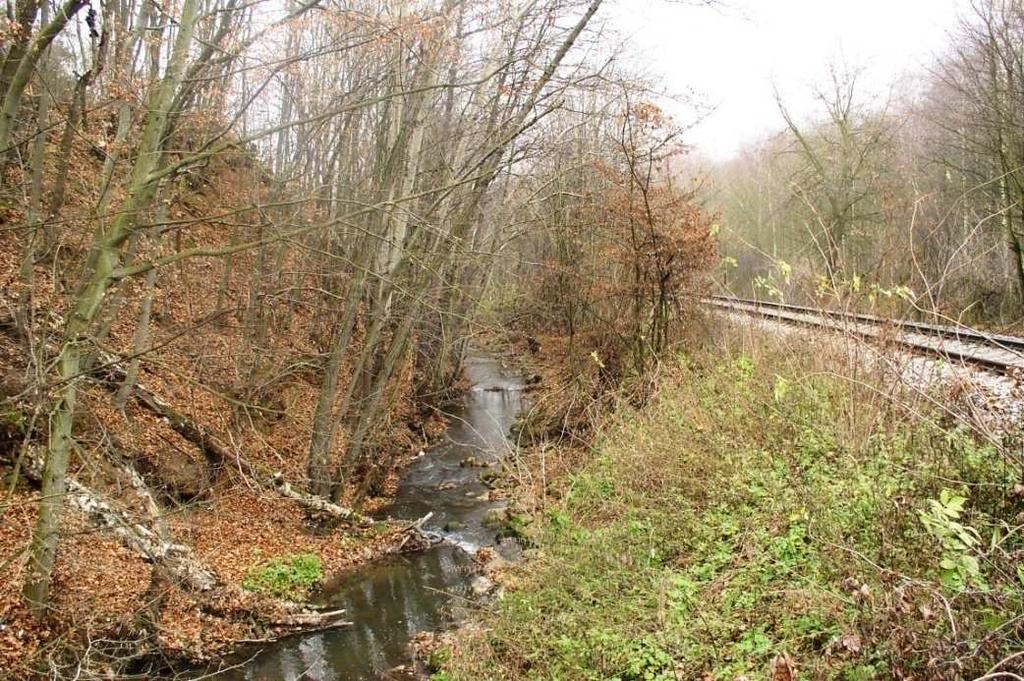 4.1.2 Železnice Další důležitou infrastrukturou je železnice Brno Rapotice. Železnice je vybudována souběžně s tokem. V některých místech přímo sousedí s Bobravou.