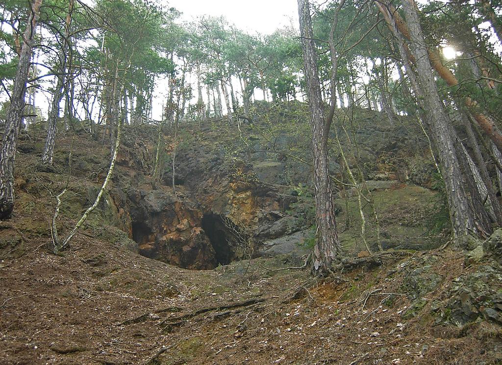 372 Bull. mineral.-petrolog. Odd. Nár. Muz. (Praha) 22, 2, 2014. ISSN 1211-0329 (print); 1804-6495 (online) uzavřená mezi dvěma spilitovými proudy.