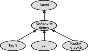 Dědičnost Cíle lekce Cílem lekce je naučit se pracovat a využívat dědičnosti při návrhu a tvorbě programů. Lekce je zaměřena hlavně na jednoduchou dědičnost.