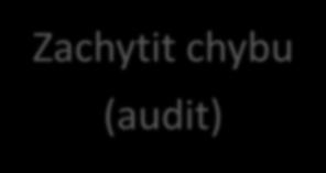 chybu (audit)