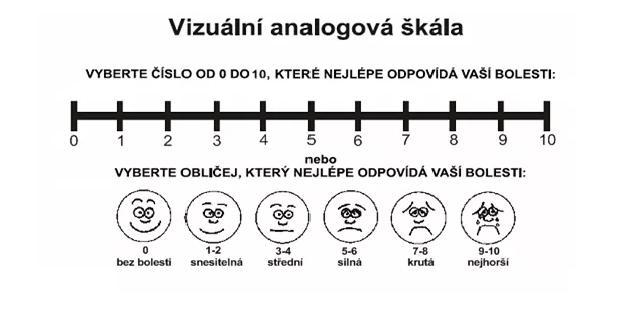 PŘÍLOHA 7 Obrázek 12 Vizuální