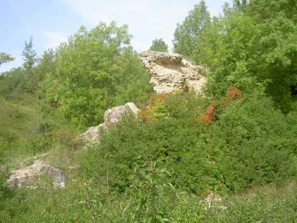 C.II.7 Ochrana přírody V širším zájmovém území stavby se nenachází, ve smyslu zákona č. 114/1992 Sb.