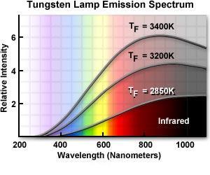 Zdroj světla ve fluorescenci někdy se používají wolframovo-halogenové žárovky, obzvláště pro modrou či zelenou excitaci u