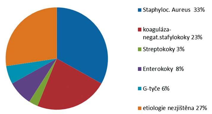 Graf 1. Spektrum infekčního agens v IKEM 2005 2014 Většina evropských center používá antibiotickou profylaxi před implantací kardiostimulátoru nebo implantabilního defibrilátoru.