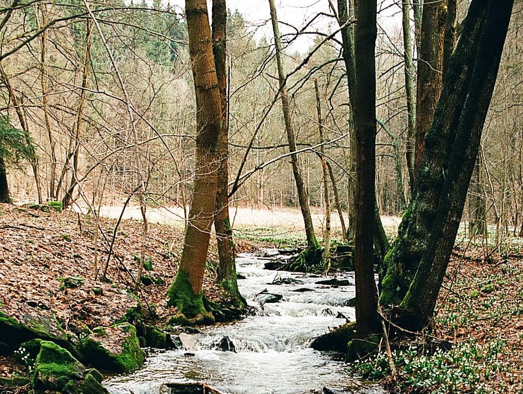 Povodí Moravy, s.p.