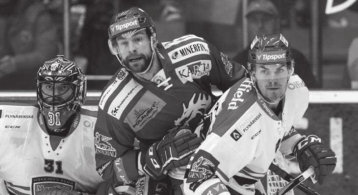 HC OCELÁŘI TŘINEC Václav Varaďa - hlavní trenér Marek Zadina - asistent trenéra Jiří Raszka - asistent trenéra Jaroslav Kameš - trenér brankářů, vedoucí mužstva Marek Gryc - kondiční trenér HOCKEY