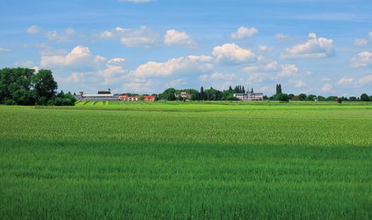 (3) Pokorný, E., Spáčilová, V., Bílovský, J., Podešvová, J., Lecianová, E.: Hodnocení průběhu počasí a vlhkosti půdy ve vztahu k vývoji ječmene jarního za rok 2016 v podmínkách ZVÚ Kroměříž, s.r.o. Obilnářské listy, 2016, číslo 4, str.