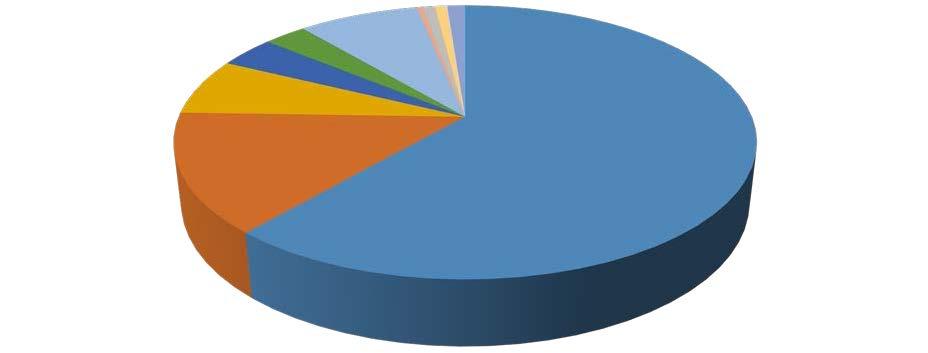 Příloha Telekomunikačního věstníku 27/2014, str. 2144 Segment A Graf č. 4a: Tržní podíl jednotlivých poskytovatelů vyjádřený v počtu koncových úseků pronajatých okruhů Segmentu A k 31. 12.