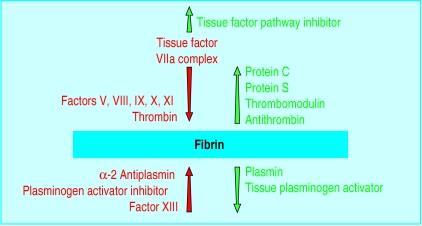 BMJ. 1998 Aug 22;