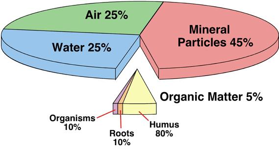 Fig. 2 Average proportions of the main soil components 2.1.