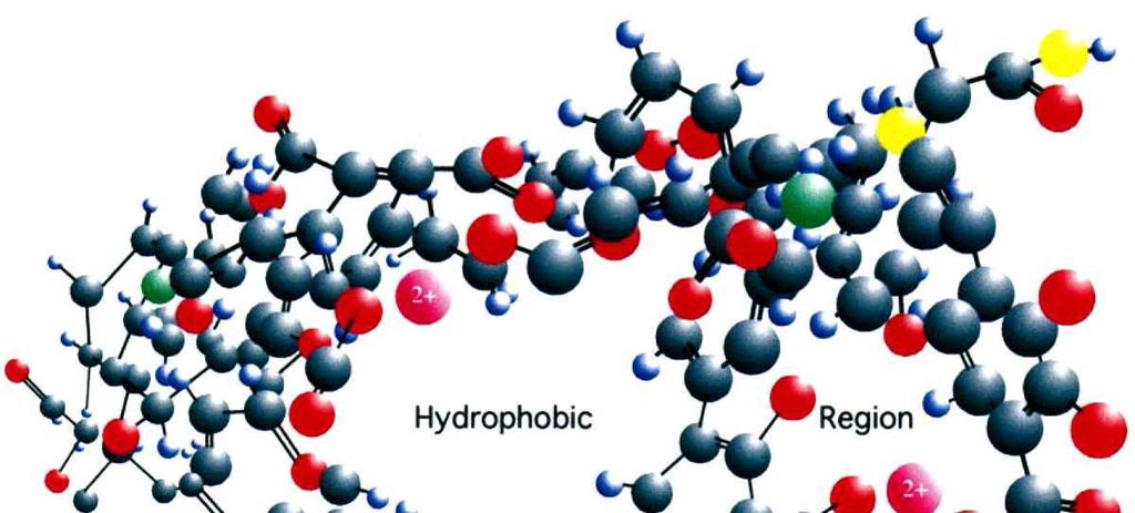 pseudomicelle, although it is constrained by the intramolecular nature of the arrangement, and the polydispersity of material. [30],[31] Fig.