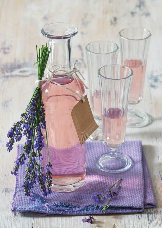 Vystačí na: 700 ml sirupu 2 hrsti nastříhaných levandulových květů 500 ml vody 1 chemicky neošetřený citrón 1 zarovnaná KL Kyseliny citrónové Dr. Oetker 1 balíček Cukru na sirup Dr.
