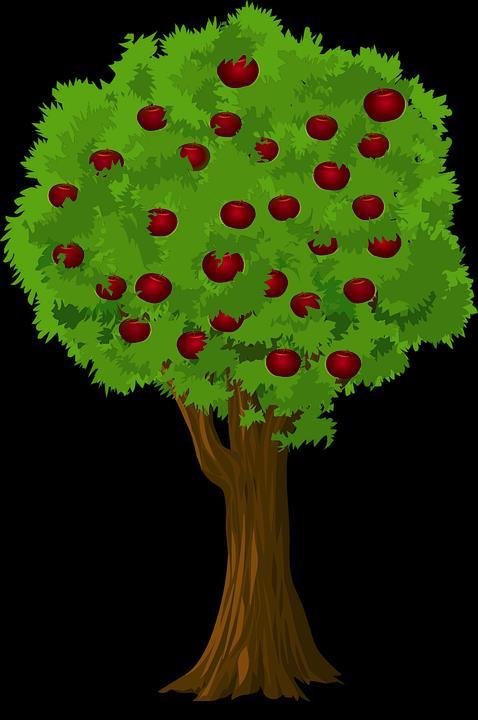 1. Čtěte text: Listnatý strom má kořen, kmen a větve. Větve tvoří korunu. Na větvích rostou listy. Kořen upevňuje strom v zemi, přijímá vodu a živiny. Listy umožňují dýchání a výživu stromu.
