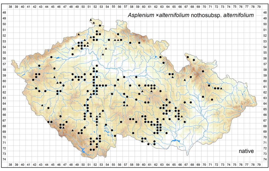Distribution of Asplenium alternifolium nothosubsp.