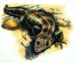 Lissamphibia