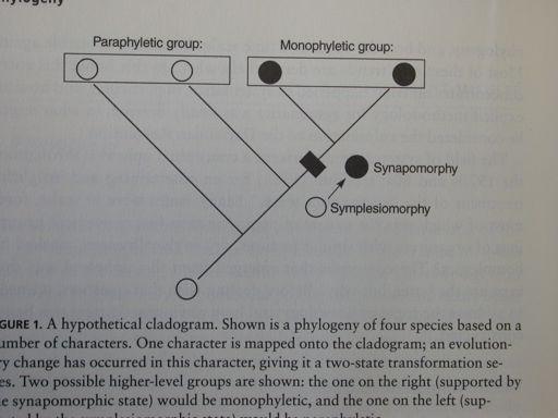 Taxonomické (a klasifika&ní) koncepce: &'()*+,-%P60J(,/%(B:50C',?%@(D):.l*<-% 3)0.(I:,:;2%2%0,0I:,:;2H%95'(6#%2%:&'(6#;!<! @B50'2.)0%'`03%,:<;(*%1(,(E/)0fQ!! u:,:c73k%60j(,(12:%pd2:5057d2:%@,03('g% B(.