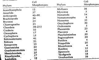 0I:;% Shh universální induktor morfogenese (zesílení a in/evaginaci