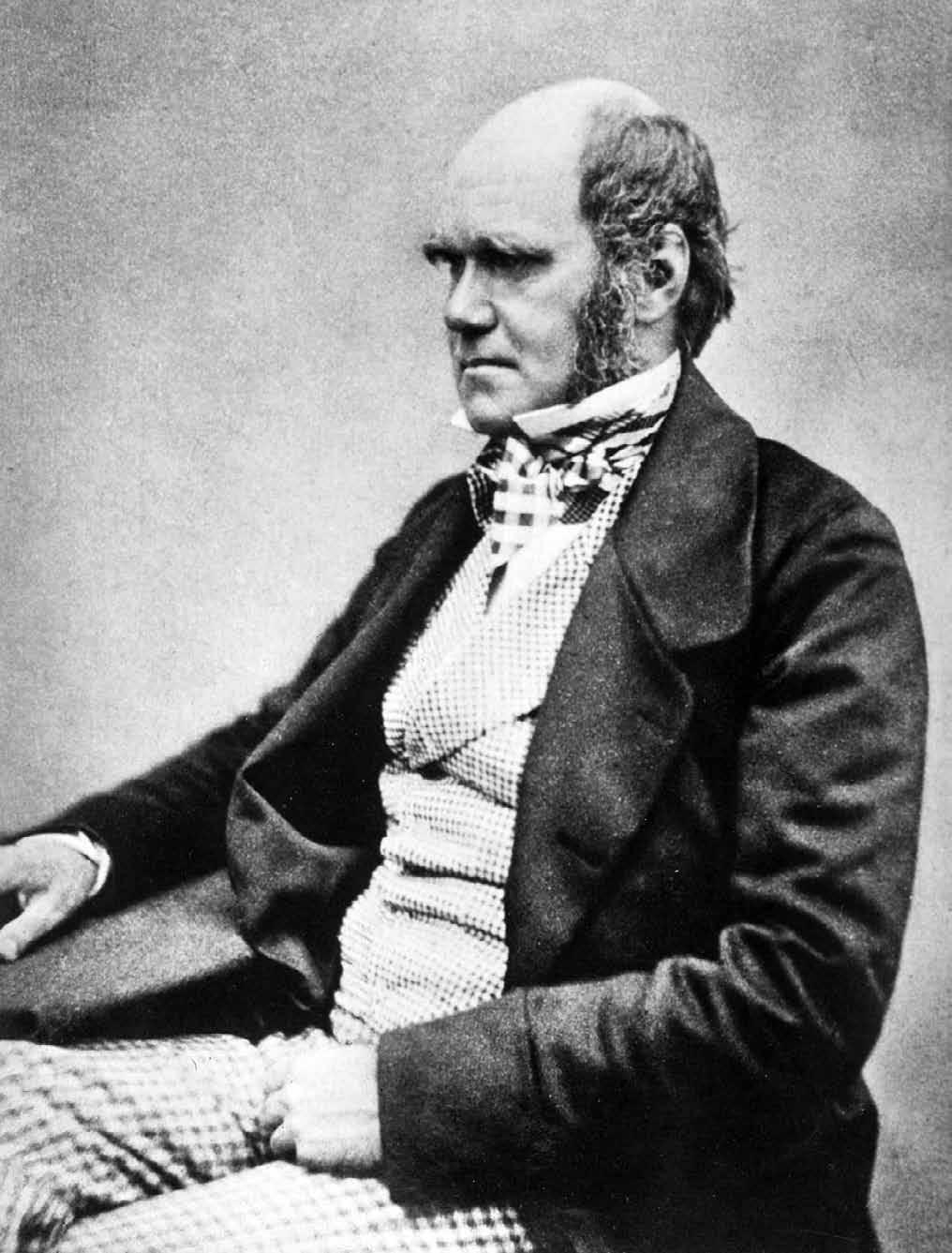 I. Budil hrála znalost angličtiny. Jejím odborným poradcem a konzultantem v přírodovědných záležitostech měl být René Édouard Claparède.